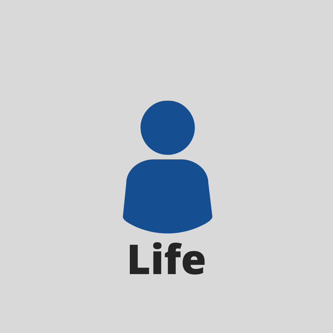 Bering Insurance Life Insurance Graphic